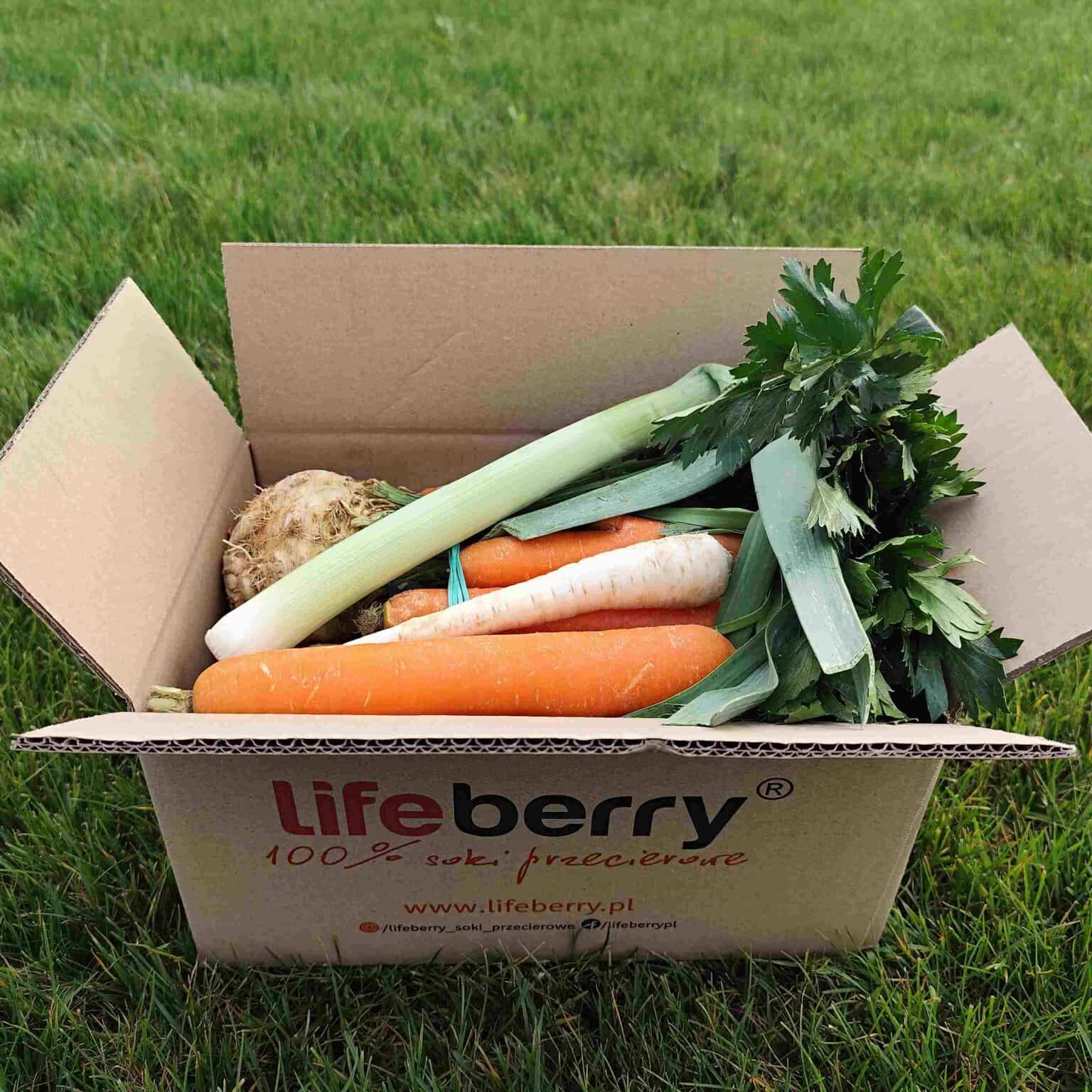 Gemüse, Premium-Qualität – 4 kg – direkt vom Bauern